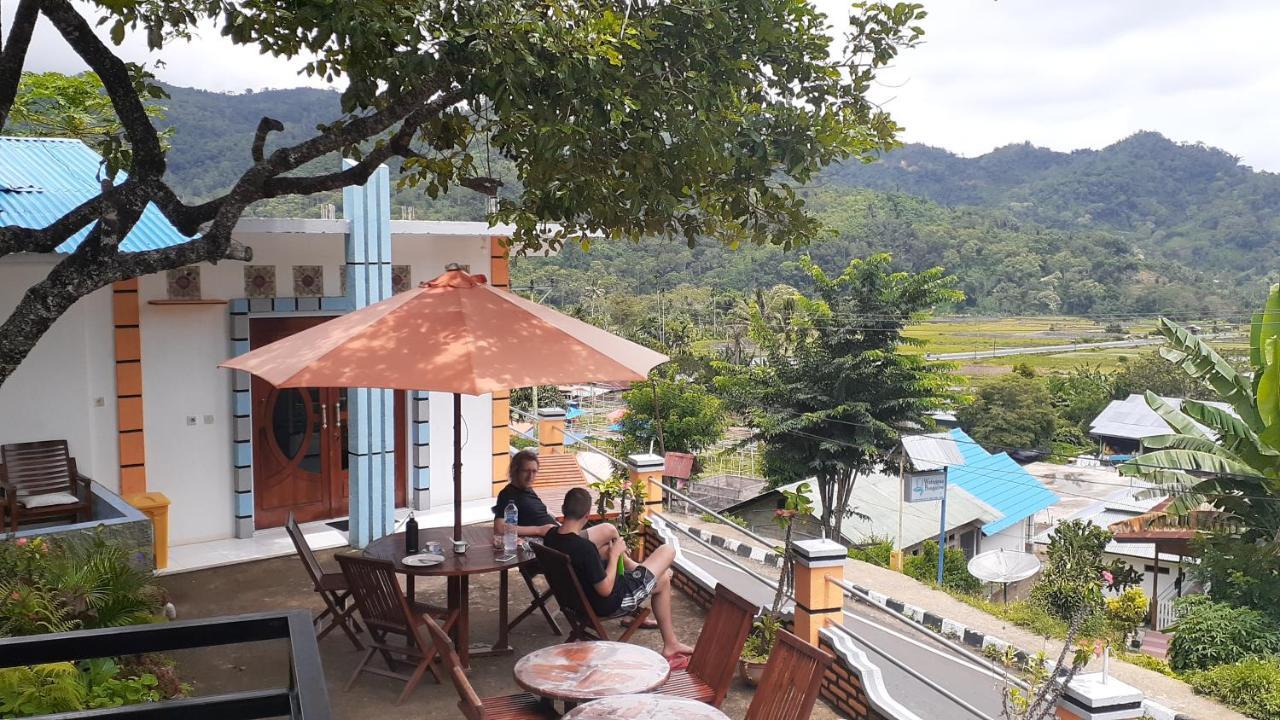 Bintang Bungalow Tour & Travel Kelimutu Ngoại thất bức ảnh