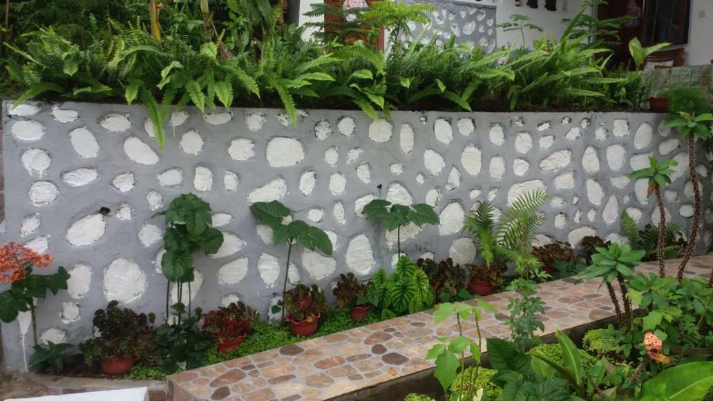 Bintang Bungalow Tour & Travel Kelimutu Ngoại thất bức ảnh